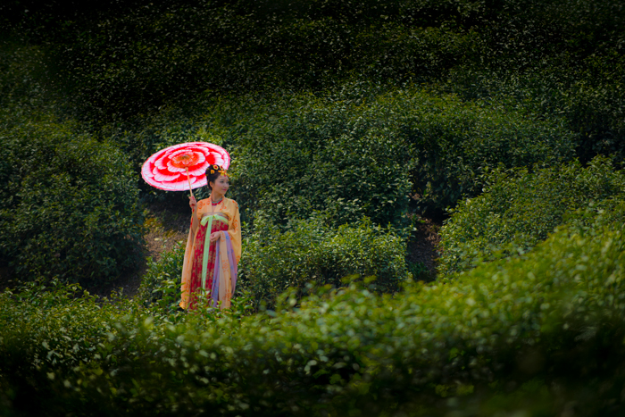 汉服踏青,花朝节汉服,汉服摄影